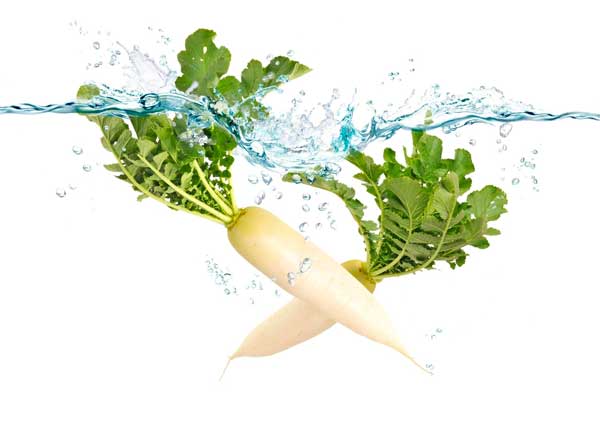 Acqua Sorgesana | Alimentazione