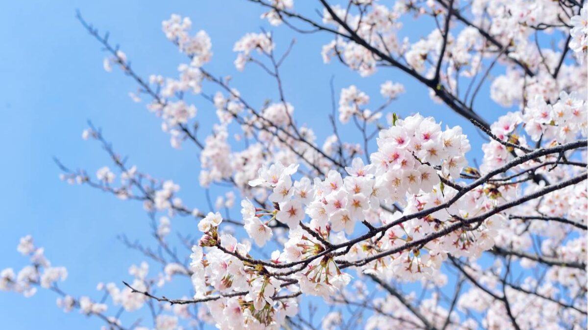 Idratarsi in primavera | Acqua sorgesana oligominerale